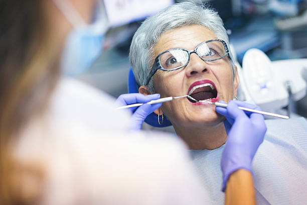 Best Root Canal Treatment  in Desoto Lakes, FL